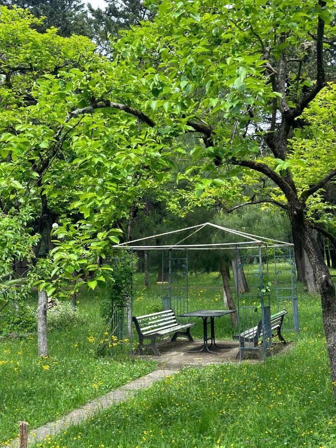 Imeri Park Hotel Kutaisi Eksteriør billede
